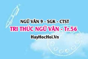 Soạn bài Tri thức Ngữ Văn trang 56 Ngữ Văn lớp 9 tập 1 Chân trời sáng tạo